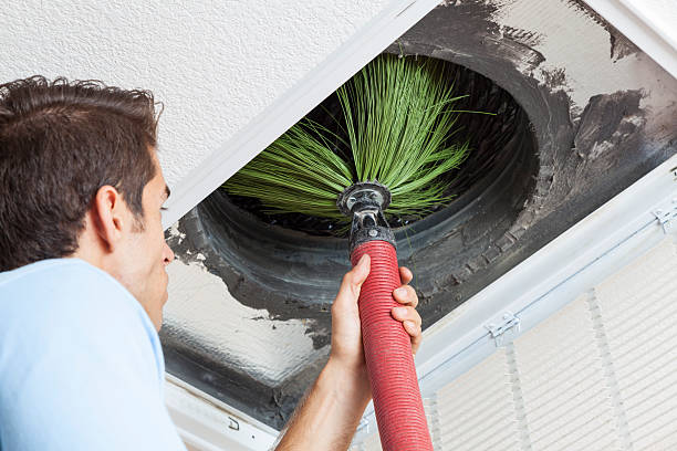 Best Air Duct Mold Removal  in Winter Springs, FL